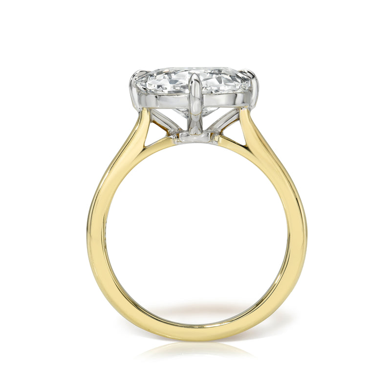 The Brooke Ring