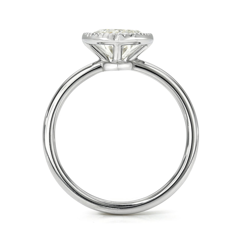 The Nixon Ring