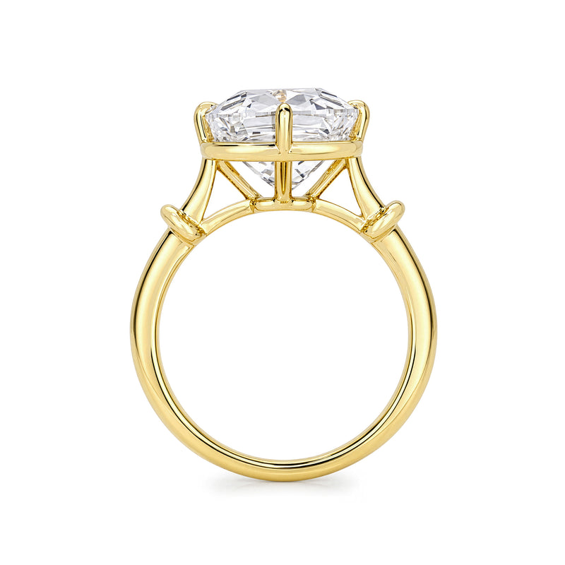 The Carolina Ring